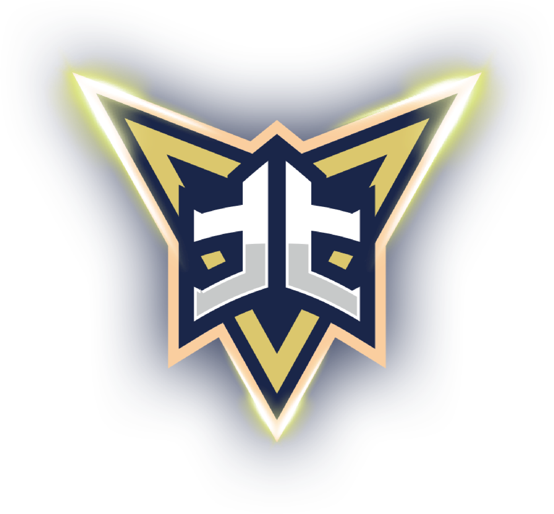 多伦多FC